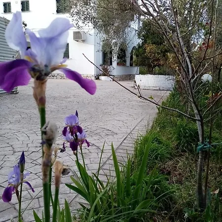 Apartamento River Adrianoula Lefkímmi